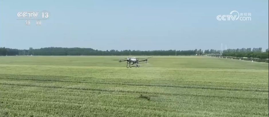 “科学防控+精准服务”各地积极应对旱情 保障高温天气农业生产