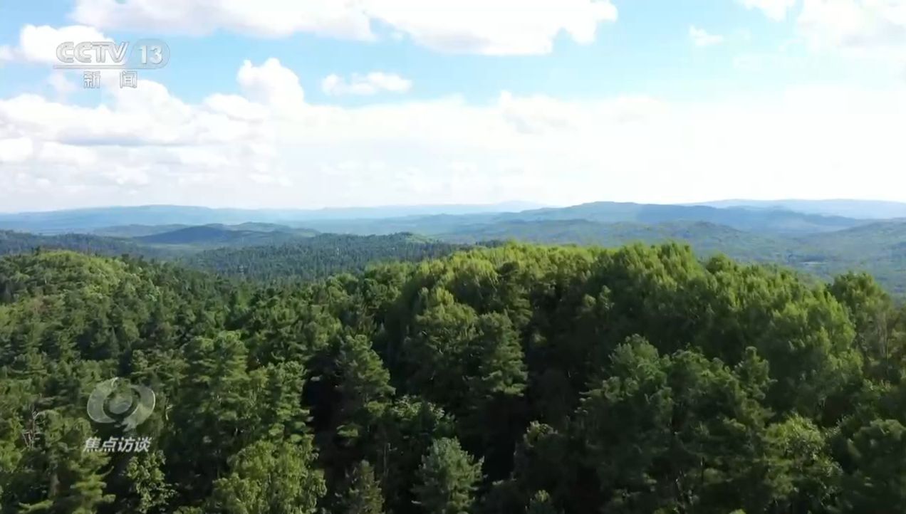 焦点访谈｜生物多样性助力我国经济高质量发展