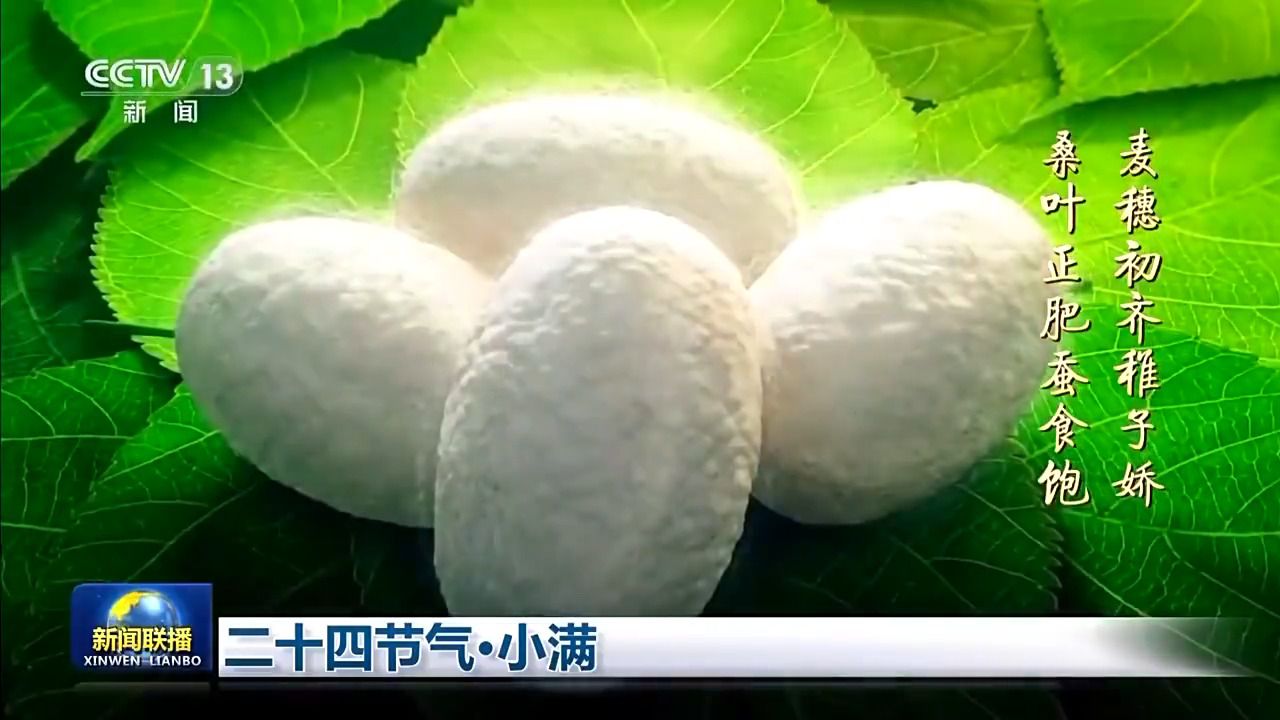 文化中国行丨二十四节气·小满 小满者,物至于此小得盈满