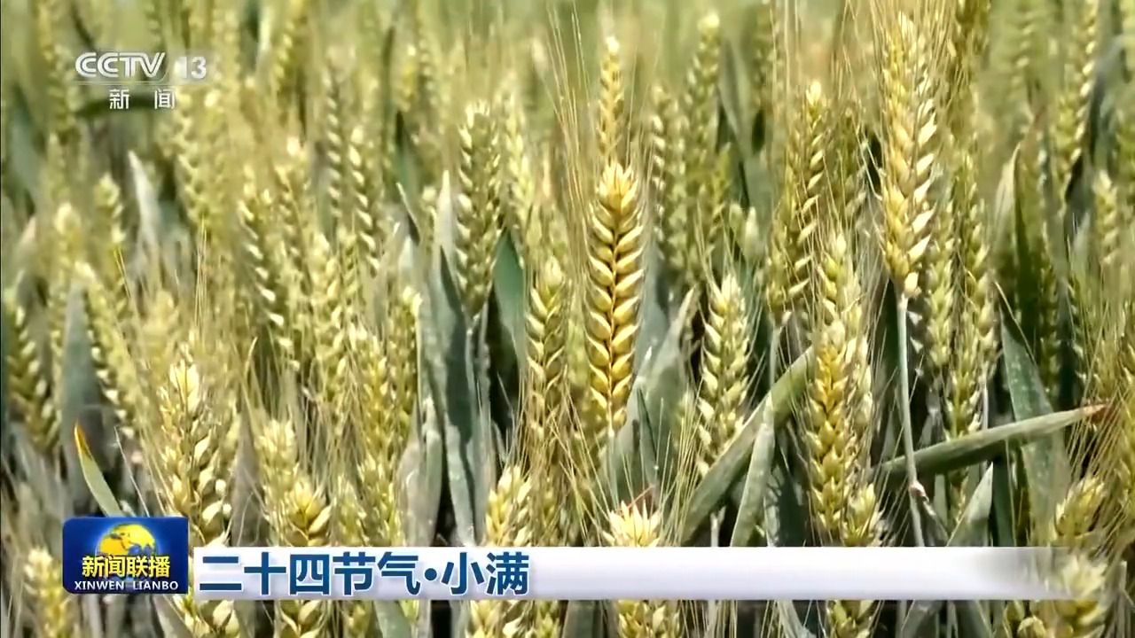 文化中国行丨二十四节气·小满 小满者,物至于此小得盈满