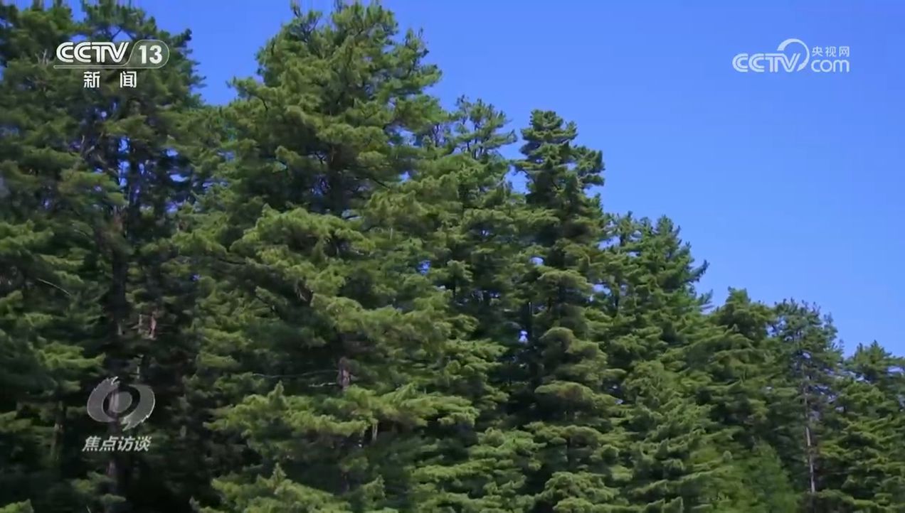 焦点访谈｜生物多样性助力我国经济高质量发展