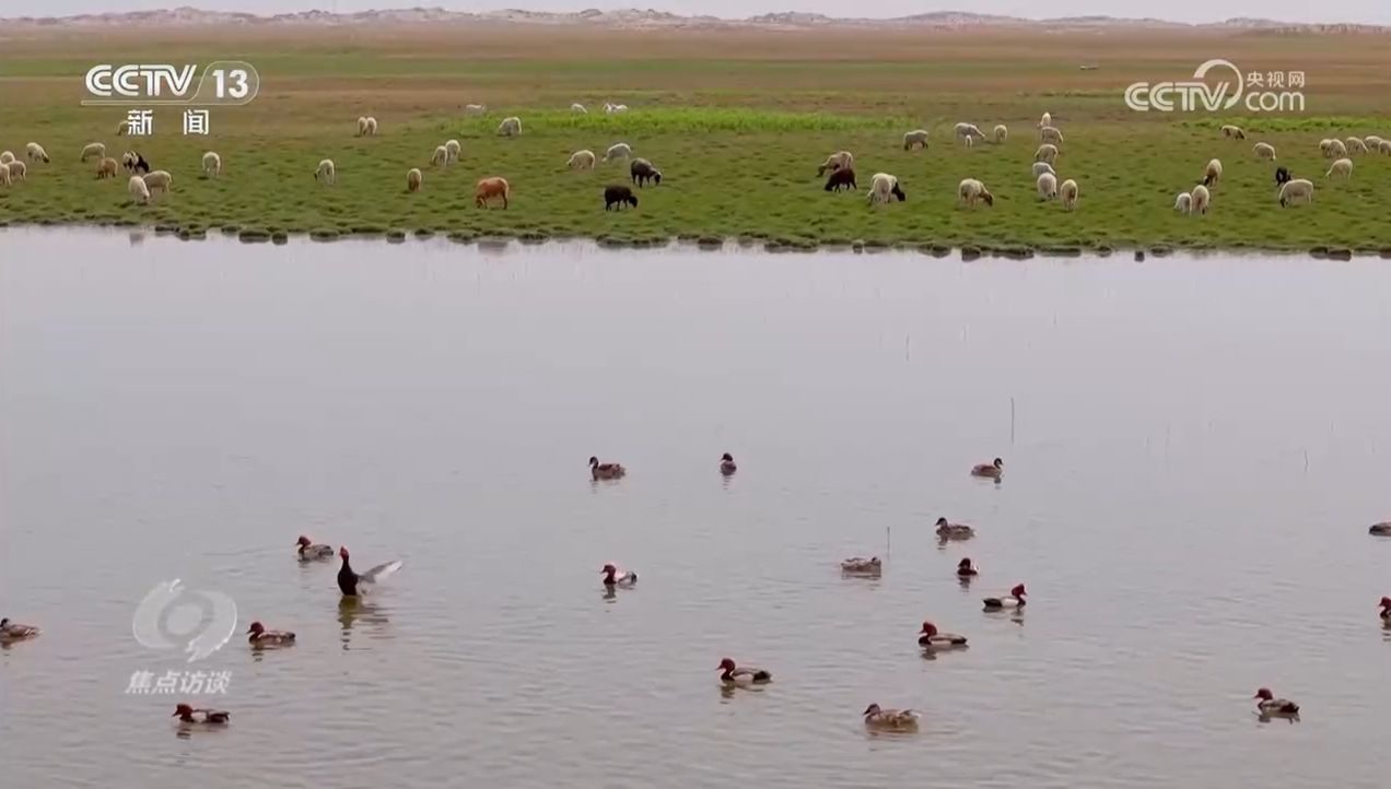 焦点访谈｜生物多样性助力我国经济高质量发展