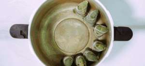 一口穿越两千年！老祖宗早就把粽子吃出了花儿！