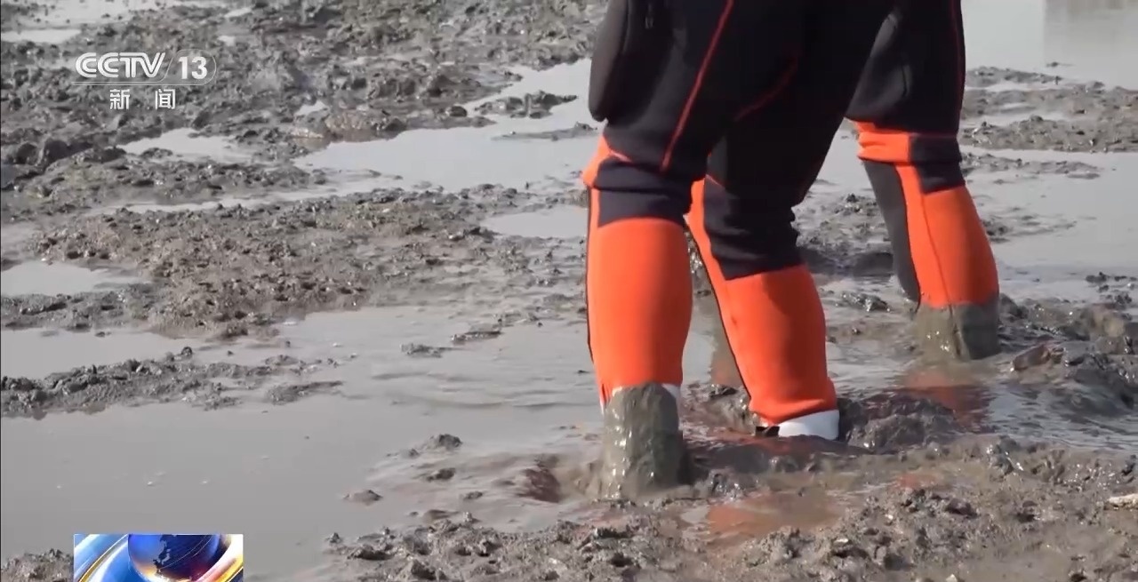 海水涨潮、离岸流……海边游玩警惕这些安全隐患 消防部门提醒→