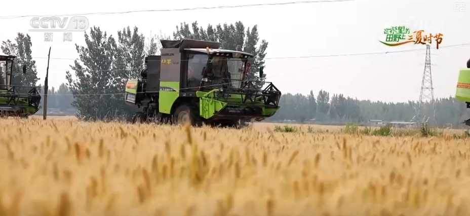 农业“大脑”护航“三夏”跑出加速度 紧盯产粮目标端牢中国人自己饭碗