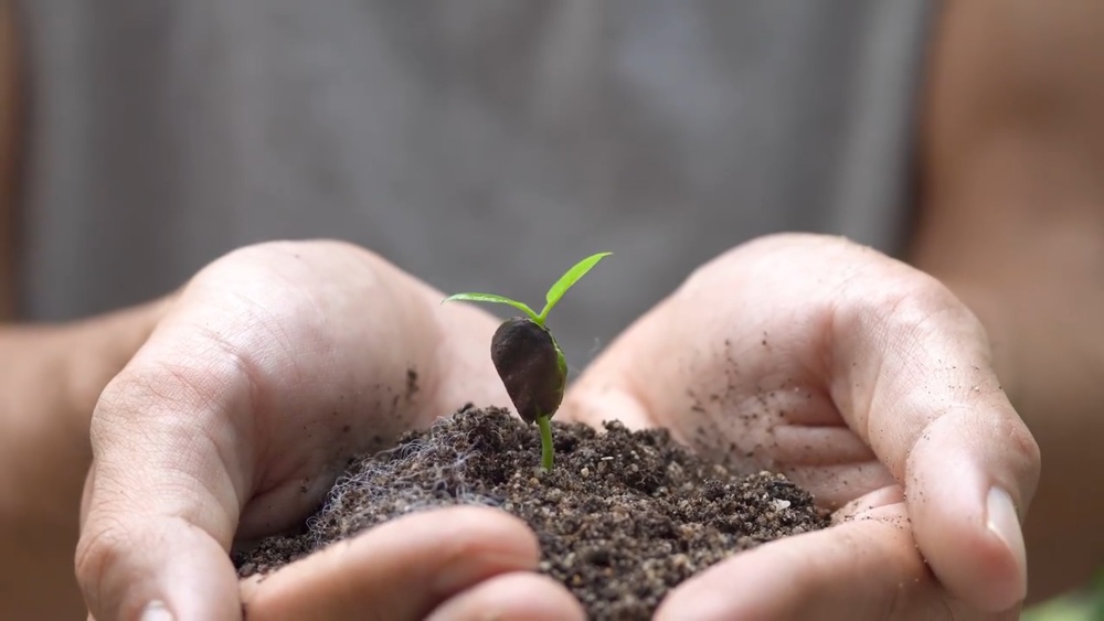 微视频｜共建清洁美丽世界
