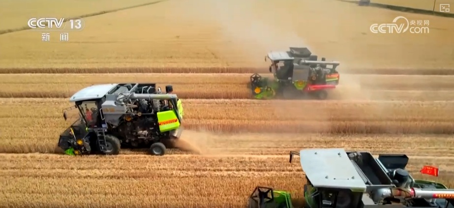 农业“大脑”护航“三夏”跑出加速度 紧盯产粮目标端牢中国人自己饭碗
