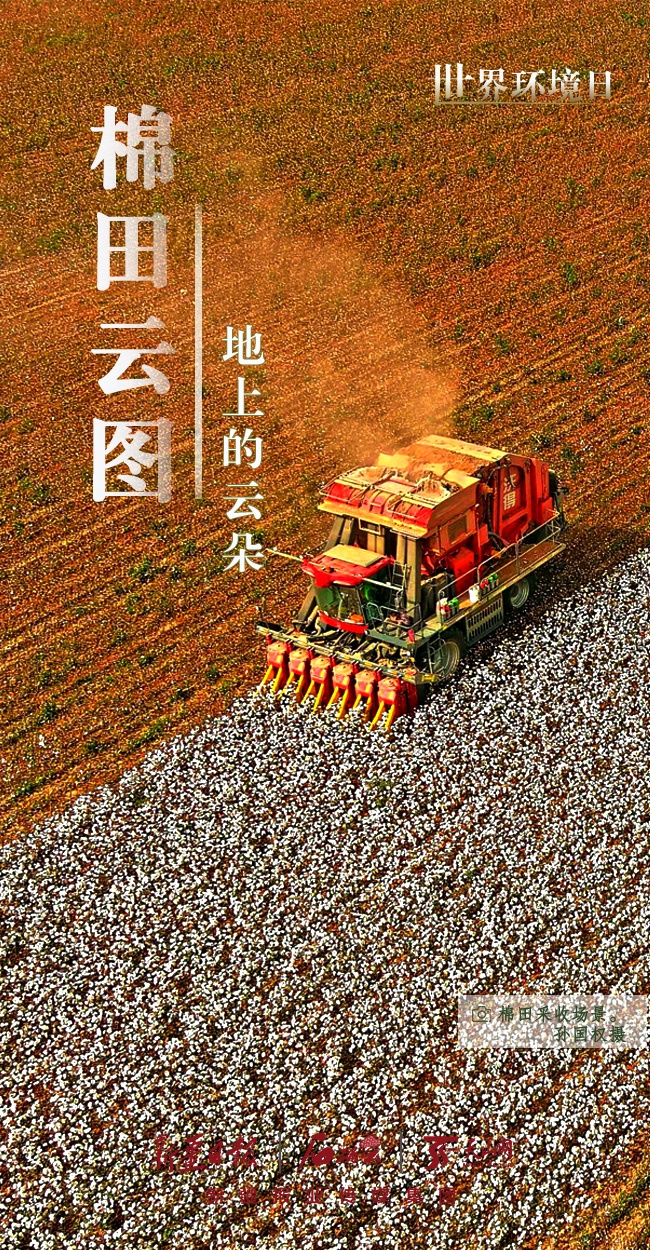 世界环境日丨看新疆的“绿色”答卷