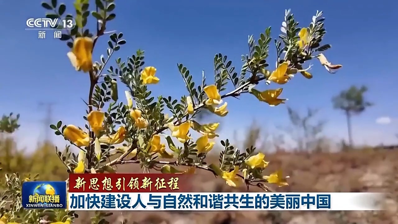 新思想引领新征程丨加快建设人与自然和谐共生的美丽中国