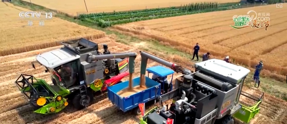 农业“大脑”护航“三夏”跑出加速度 紧盯产粮目标端牢中国人自己饭碗