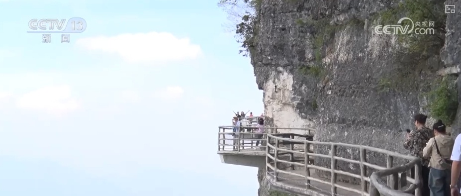 含“金”量提升！银发经济跑出“加速度” 焕发消费“青春活力”