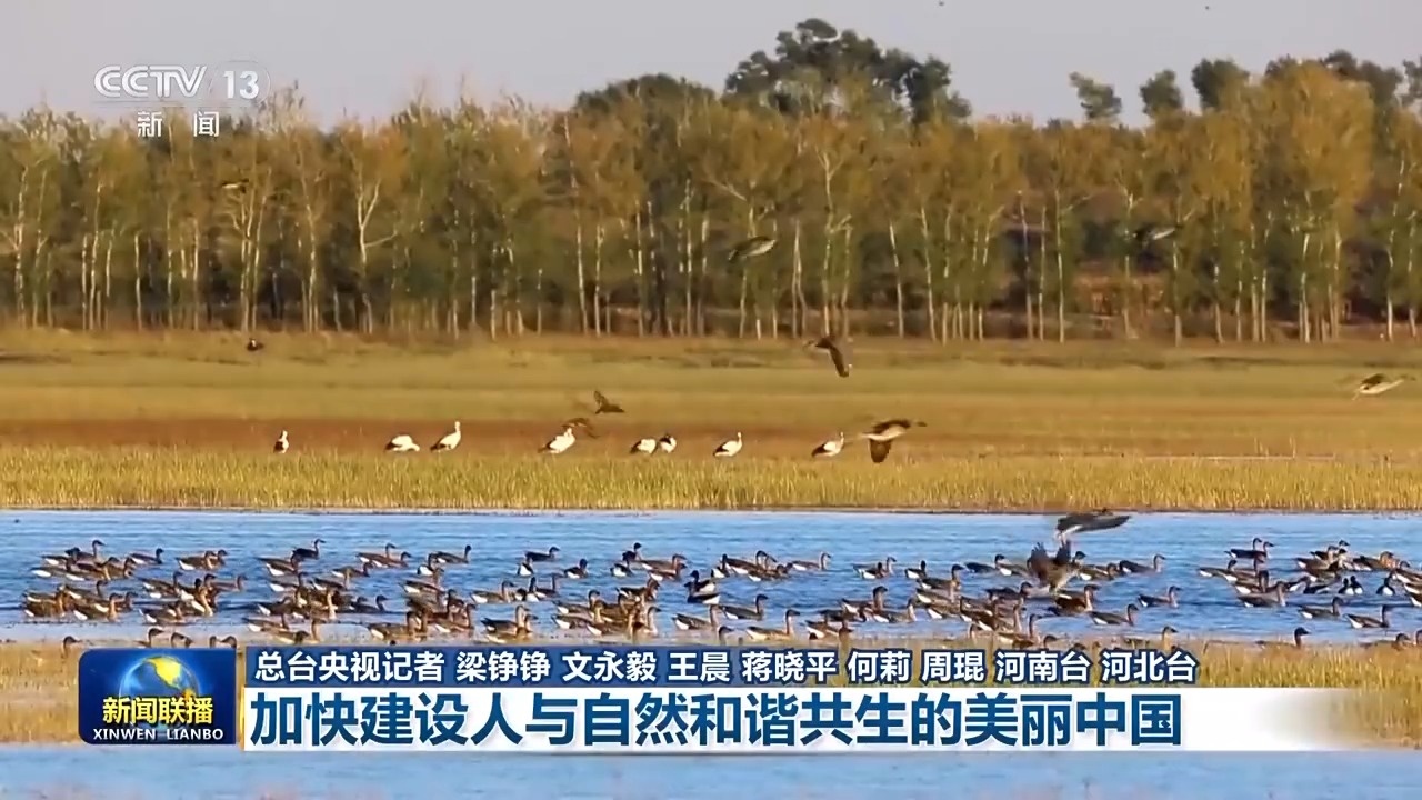 新思想引领新征程丨加快建设人与自然和谐共生的美丽中国