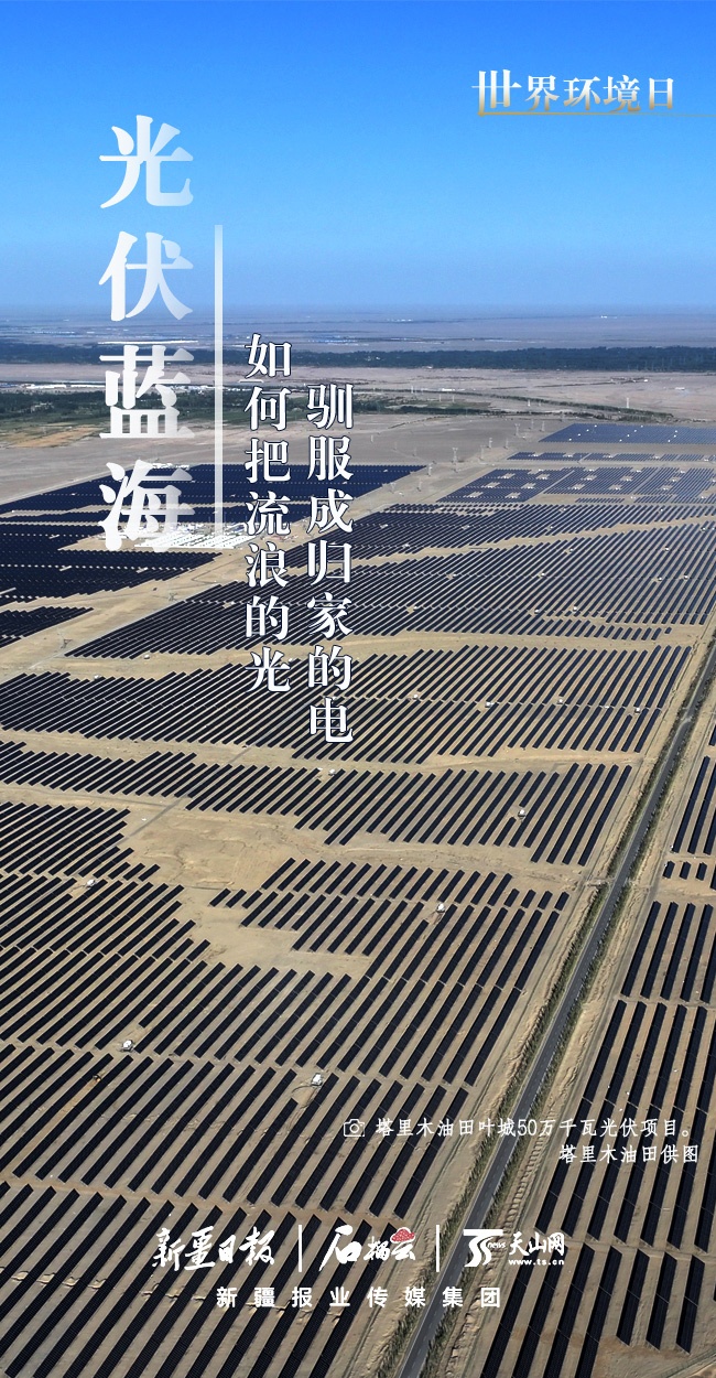世界环境日丨看新疆的“绿色”答卷