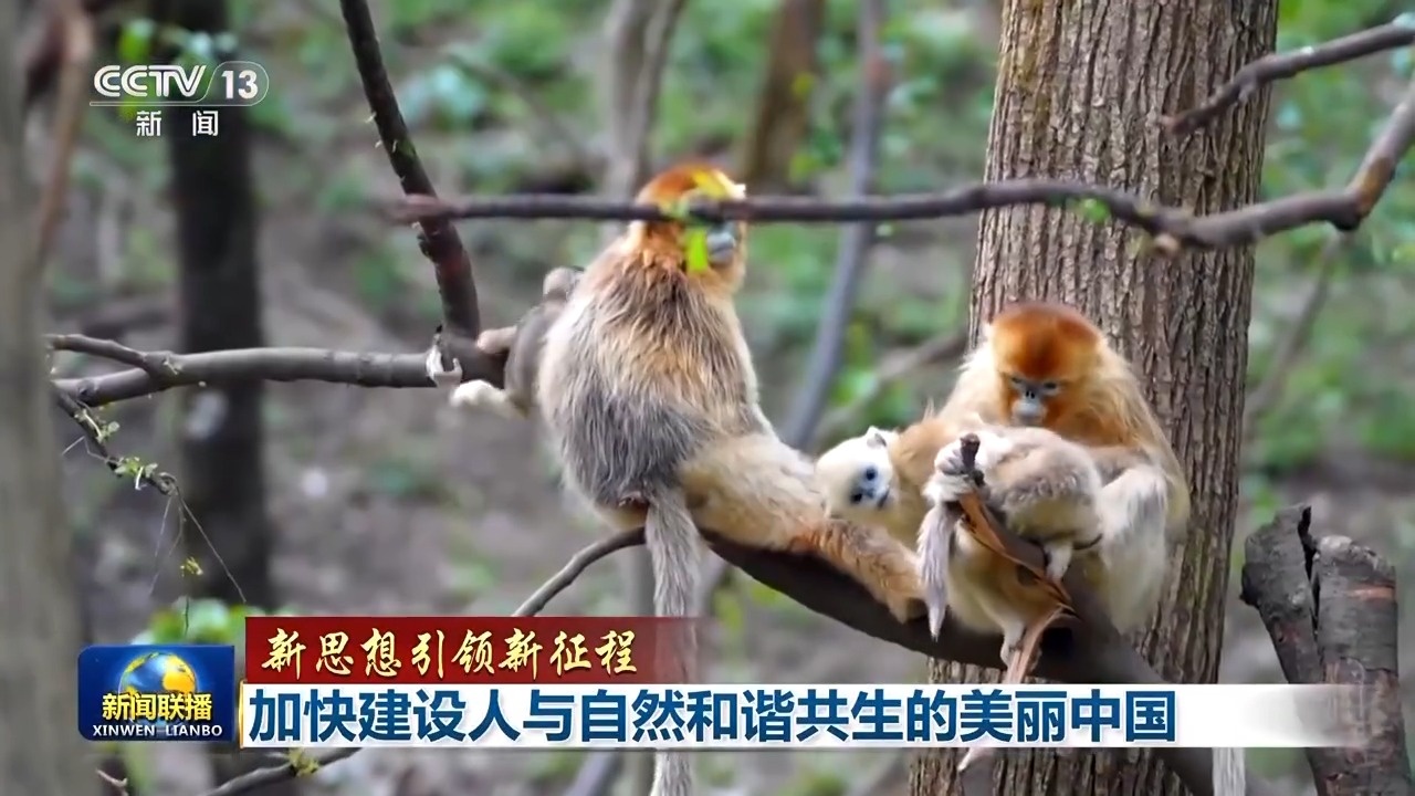 新思想引领新征程丨加快建设人与自然和谐共生的美丽中国