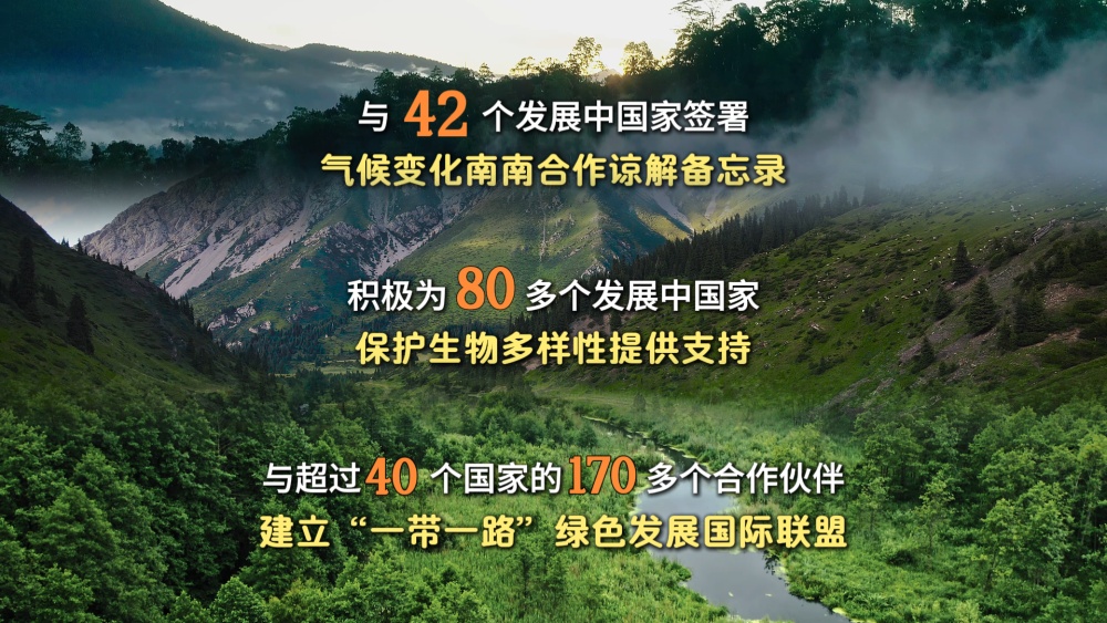 微视频｜共建清洁美丽世界