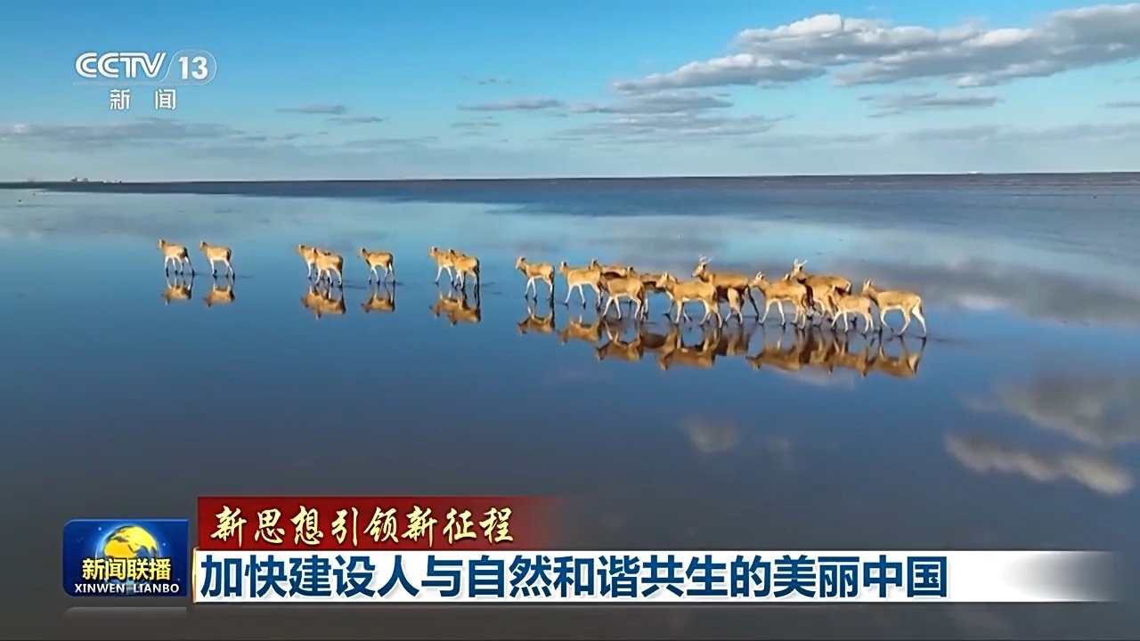 新思想引领新征程丨加快建设人与自然和谐共生的美丽中国