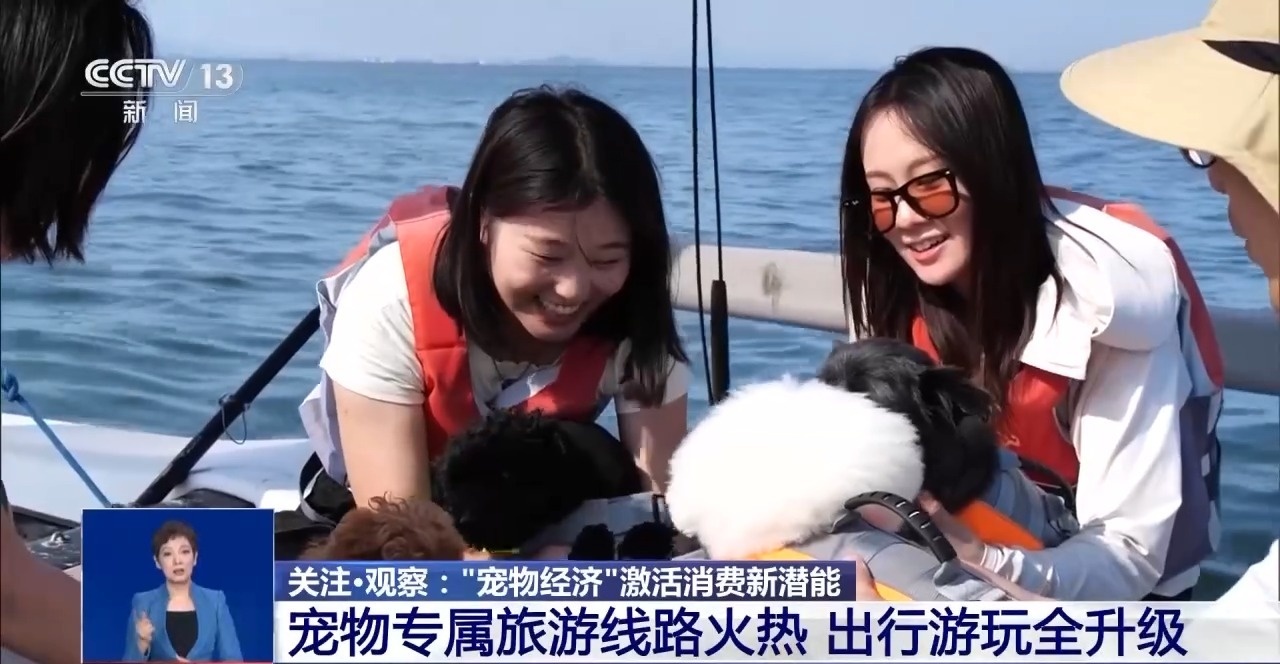 @爱宠人士 出行游玩全升级 快来开启“携宠出行”新体验