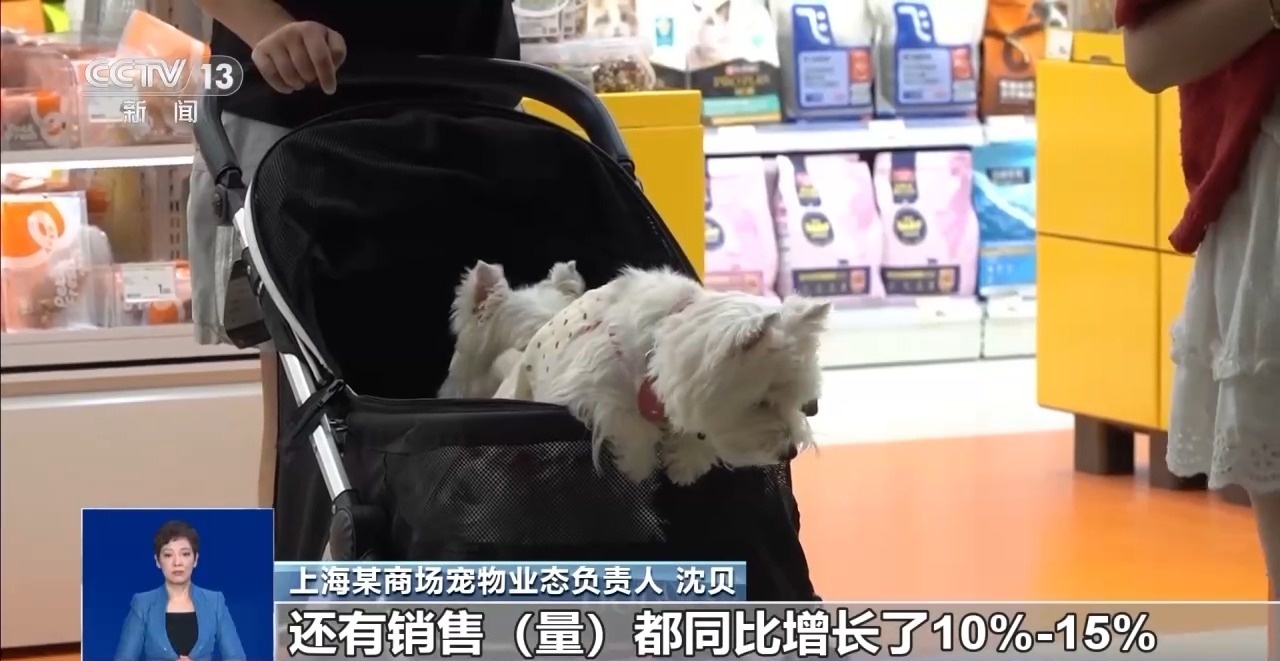 @爱宠人士 出行游玩全升级 快来开启“携宠出行”新体验