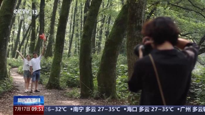 活力运动、文物展览、清凉旅游……暑期你打算怎么过?