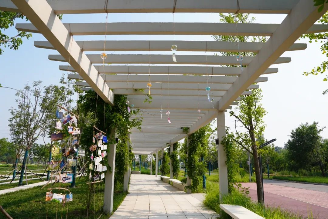 从新燕园出发,一路生花——祝2025届学子毕业快乐!