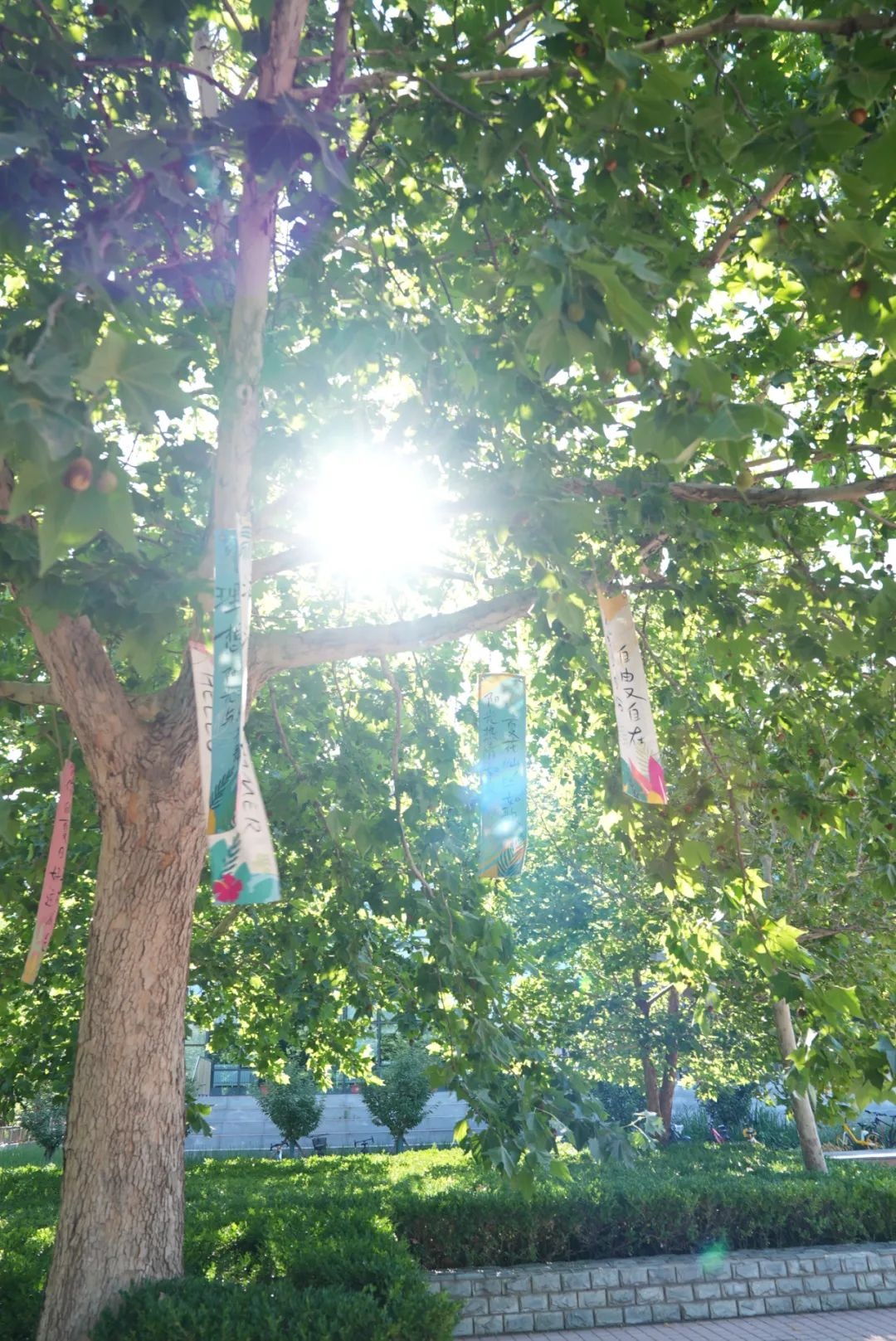 从新燕园出发,一路生花——祝2025届学子毕业快乐!