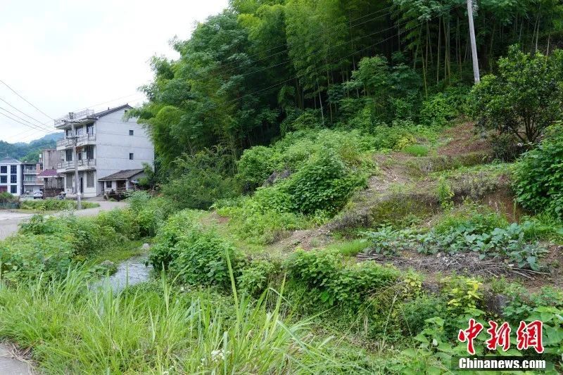 这名美国退役陆军中校为何往来“飞书”580余封中国“寻亲”？