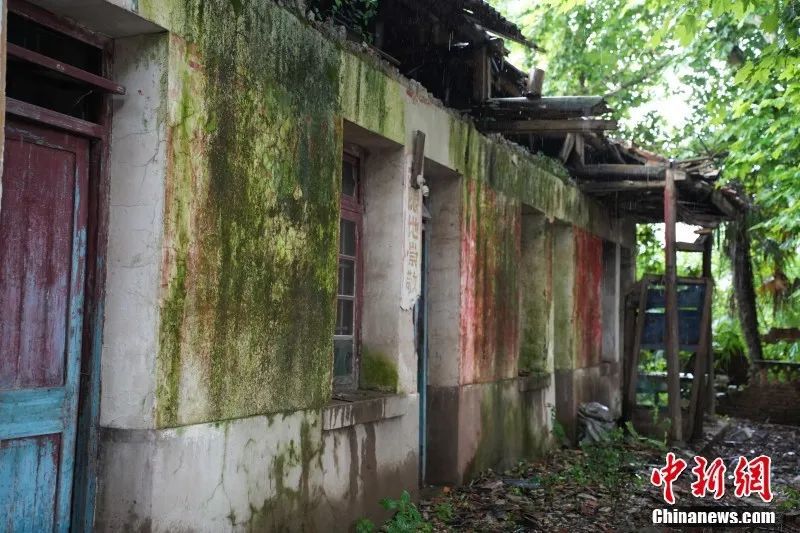 这名美国退役陆军中校为何往来“飞书”580余封中国“寻亲”？