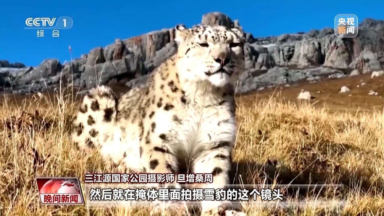 看见美丽中国丨三江源20年蜕变：千湖归来 “中华水塔”焕新生