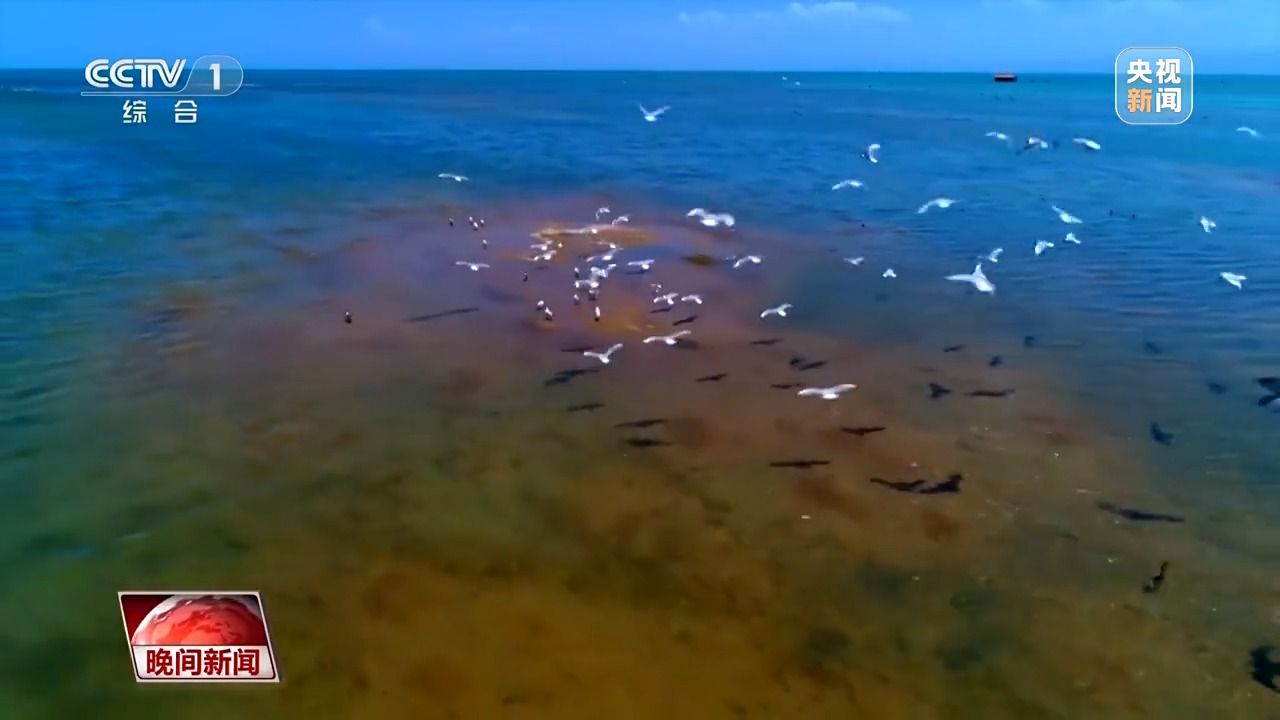 看见美丽中国丨三江源20年蜕变：千湖归来 “中华水塔”焕新生