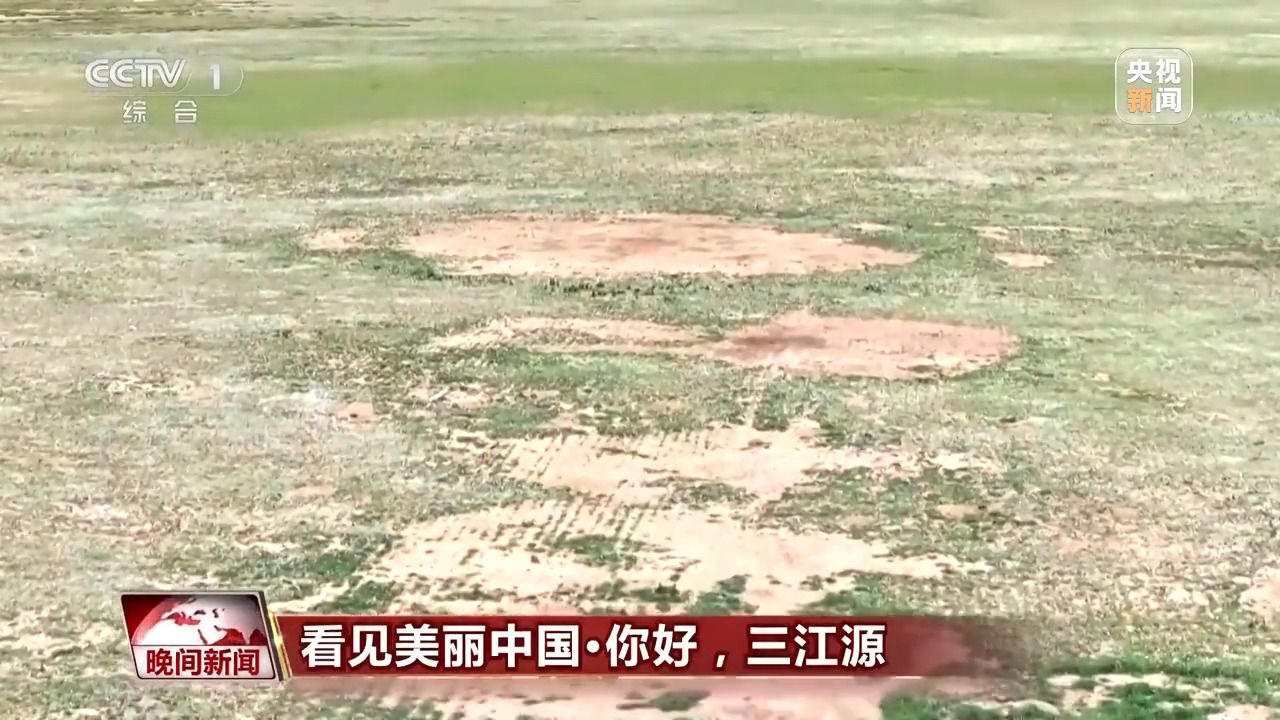 看见美丽中国丨三江源20年蜕变：千湖归来 “中华水塔”焕新生