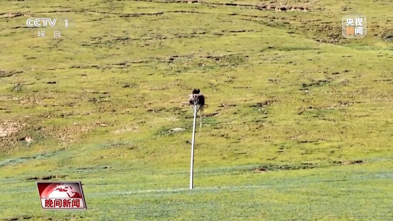 看见美丽中国丨三江源20年蜕变：千湖归来 “中华水塔”焕新生