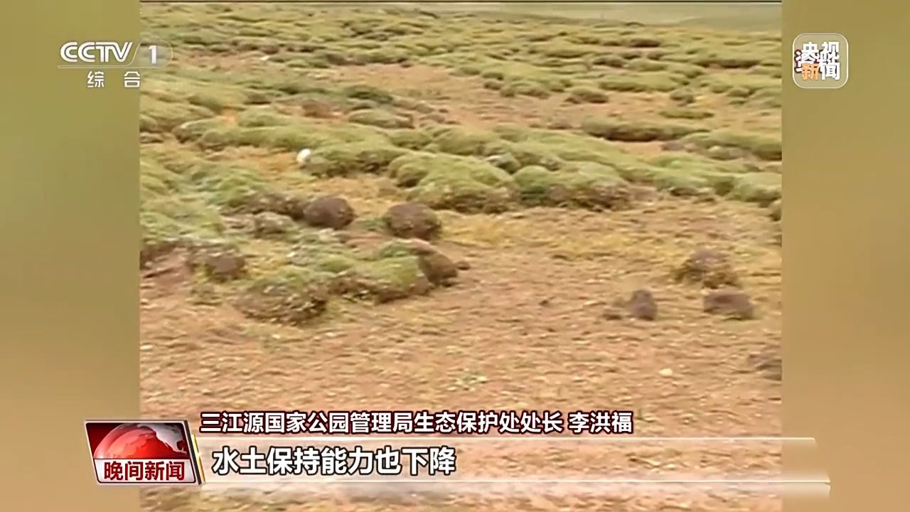 看见美丽中国丨三江源20年蜕变：千湖归来 “中华水塔”焕新生