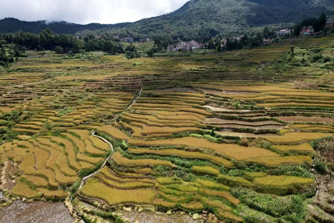 东西问丨里韦拉·埃斯皮诺萨:人类应以何种“新礼”回赠大地?