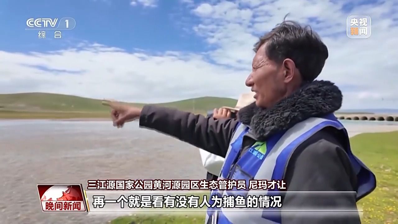 看见美丽中国丨三江源20年蜕变：千湖归来 “中华水塔”焕新生