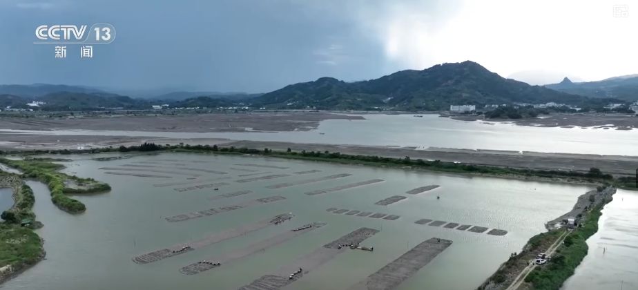 “粮饲双收”“一塘多收”……新技术“大显身手”绘就秋日别样好“丰”景