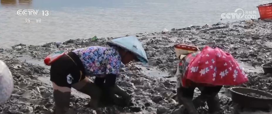 “粮饲双收”“一塘多收”……新技术“大显身手”绘就秋日别样好“丰”景