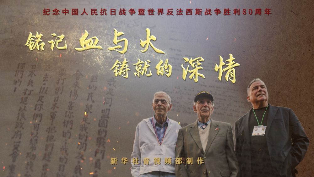 历史的回响｜铭记血与火铸就的深情