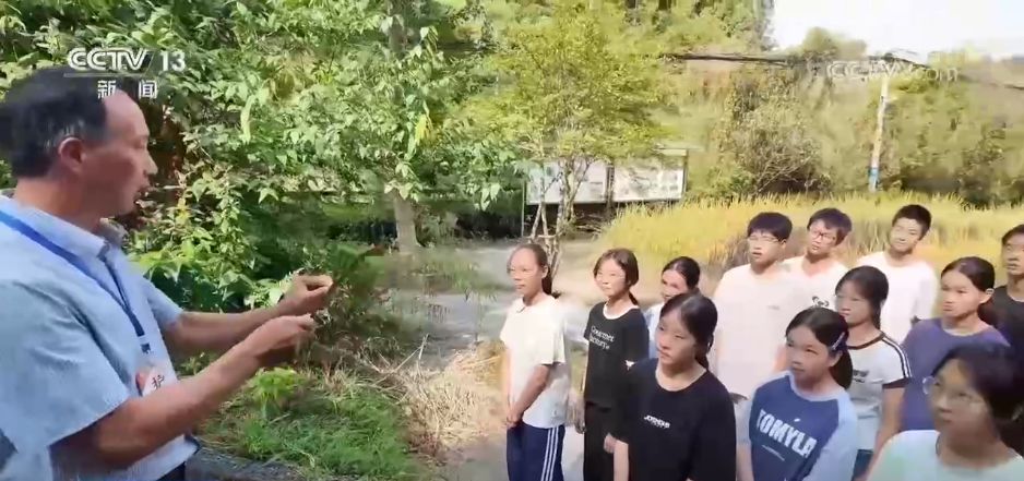 教师节快乐！对每一位老师道声辛苦，感谢您的培养之恩