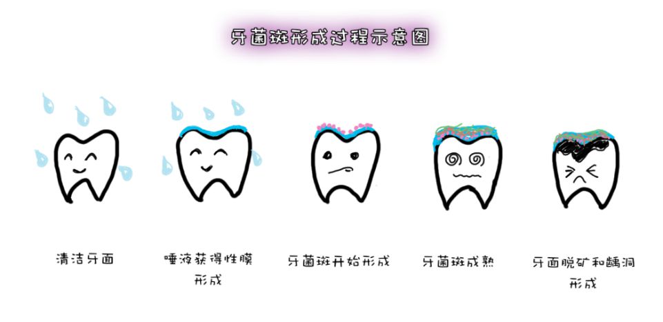 一天中最该刷牙的时刻,偷懒的人危险了!现在知道还不晚