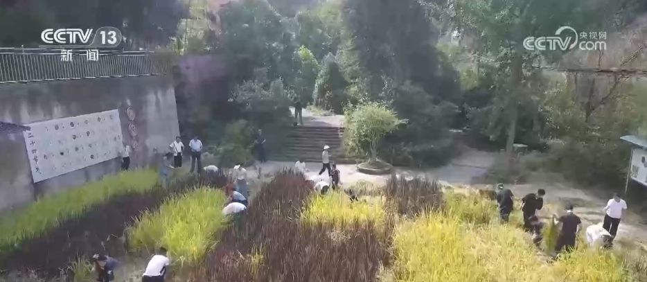 教师节快乐！对每一位老师道声辛苦，感谢您的培养之恩